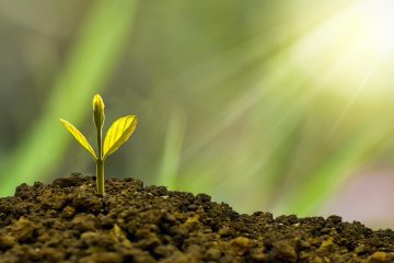 financial planning for small businesses 2026 - URLSHORTER