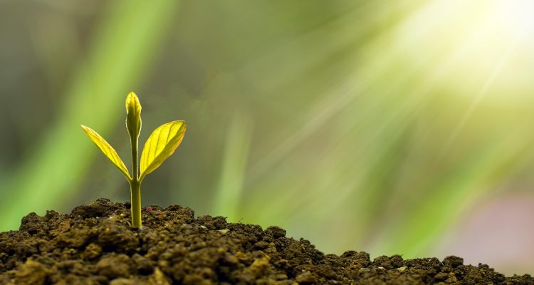 financial planning for small businesses 2026 - URLSHORTER